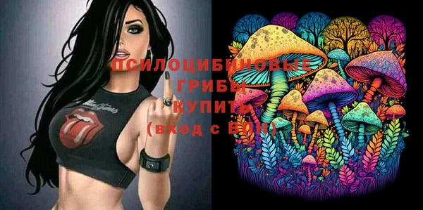 сатива Богородск