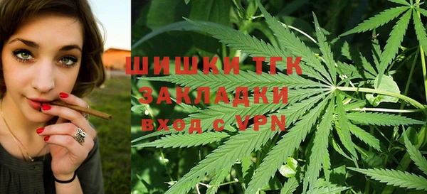 сатива Богородск