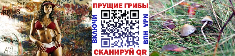 Псилоцибиновые грибы Psilocybine cubensis  Бородино 