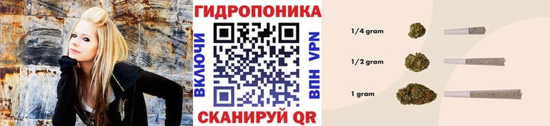 Канабис сатива  мориарти наркотические препараты  Бородино 